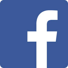 fbook icon